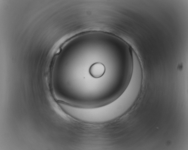 X0000114181136200910151654
