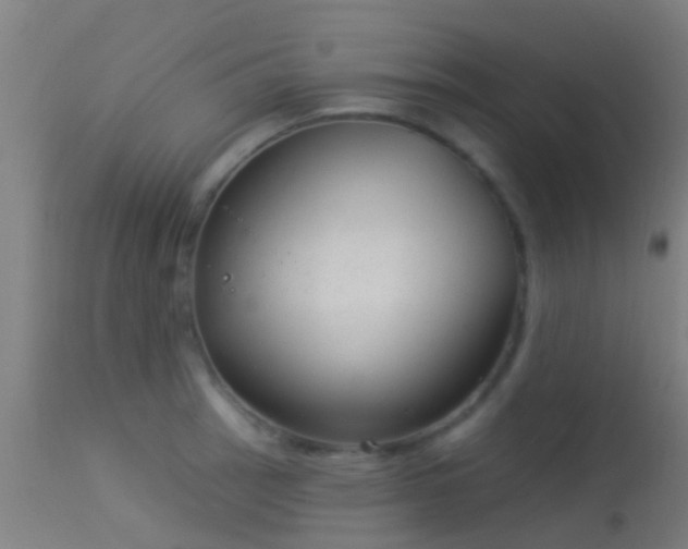 X0000114181137200910151654