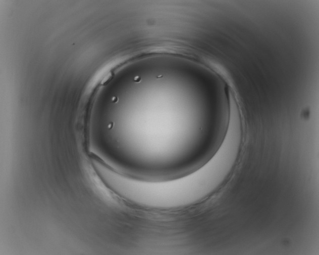 X0000114181138200910151654