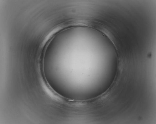 X0000114181139200910151654