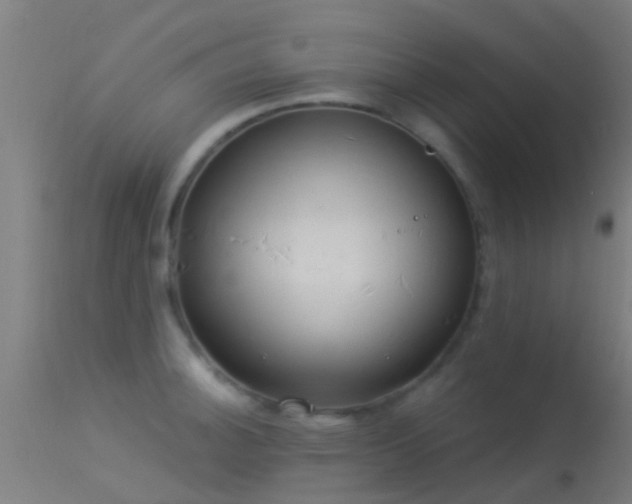 X0000114181140200910151654