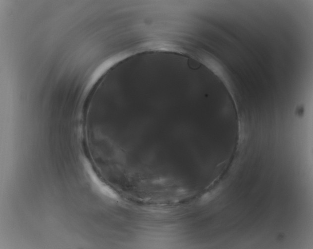 X0000114181141200910151654