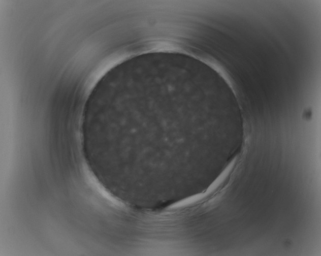 X0000114181142200910151654