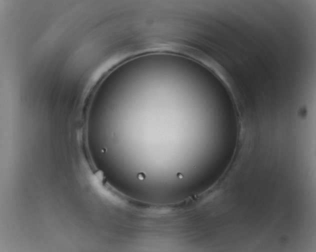 X0000114181143200910151654