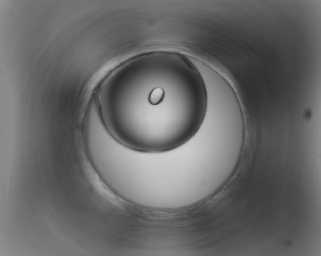 X0000114181144200910151654