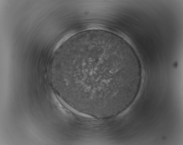 X0000114181145200910151654