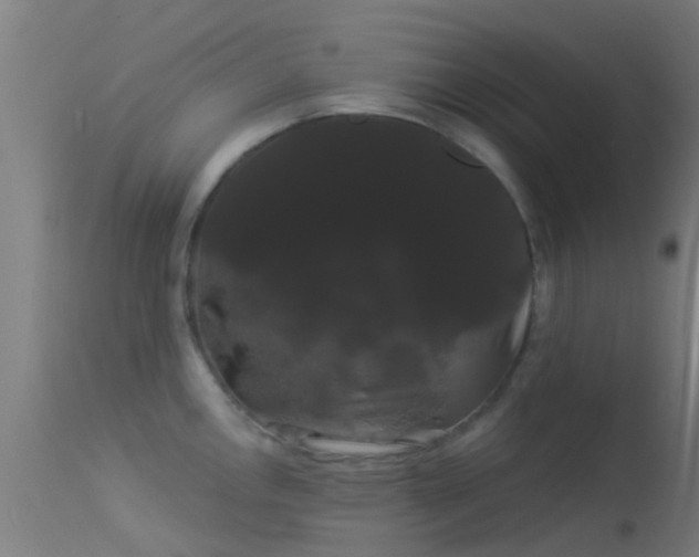 X0000114181146200910151654