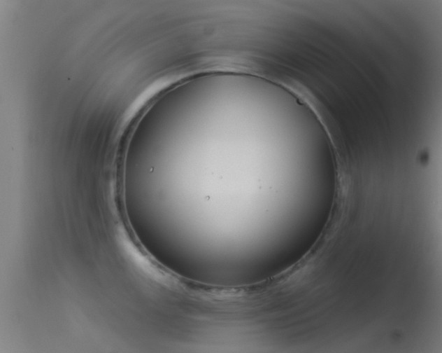 X0000114181147200910151654