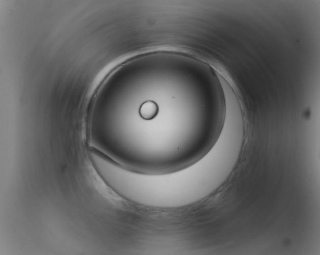 X0000114181148200910151654