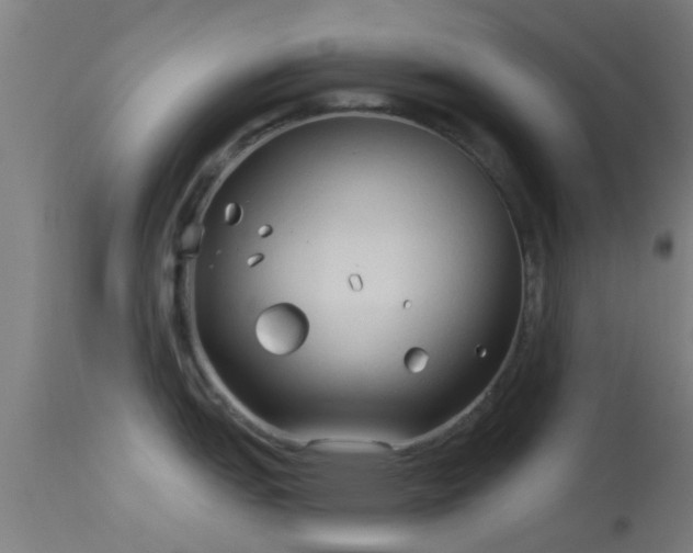 X0000114181151200910151654