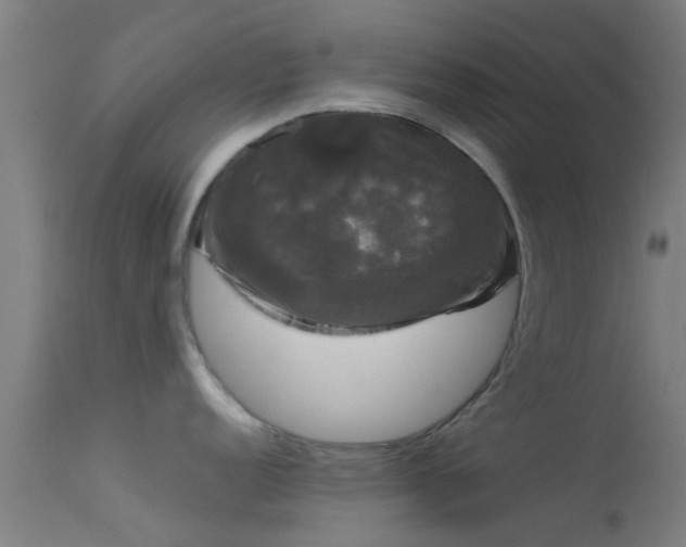 X0000114181152200910151654