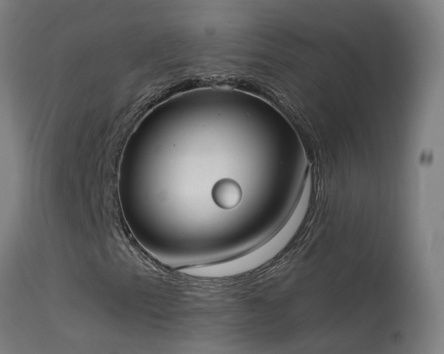 X0000114181153200910151653