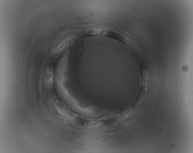 X0000114181154200910151653