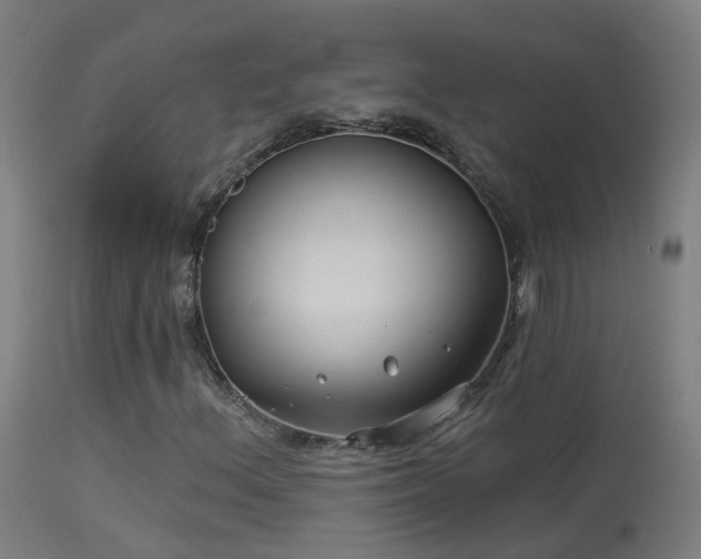 X0000114181156200910151653