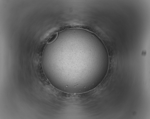 X0000114181157200910151653