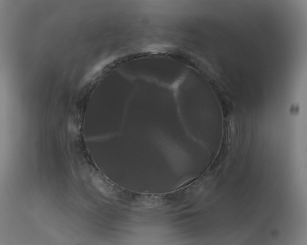 X0000114181158200910151653