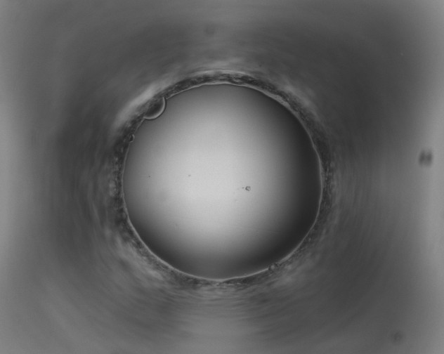 X0000114181159200910151653