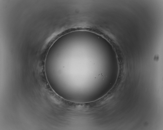 X0000114181160200910151653