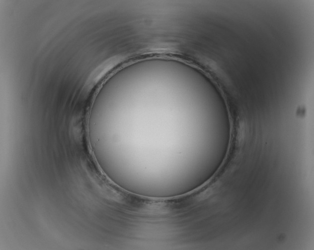 X0000114181162200910151653