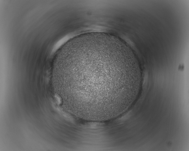 X0000114181163200910151653