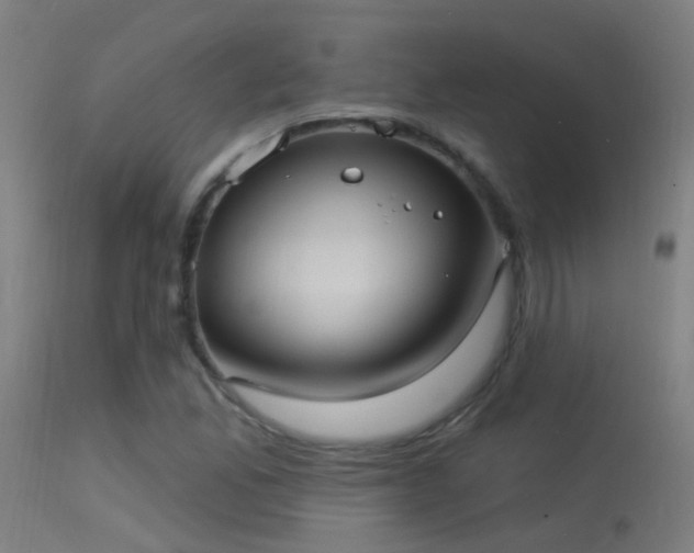 X0000114181165200910151653