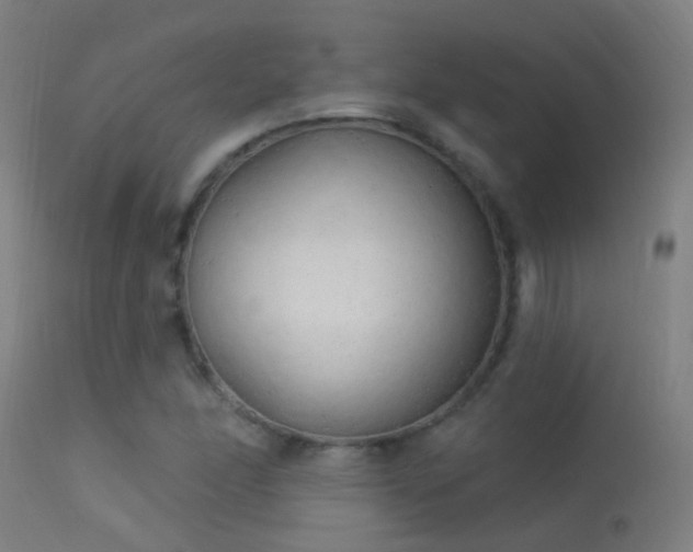 X0000114181166200910151653