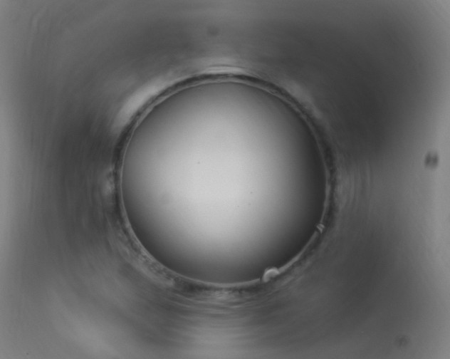 X0000114181167200910151653