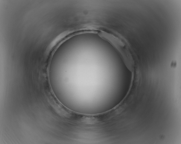 X0000114181168200910151653