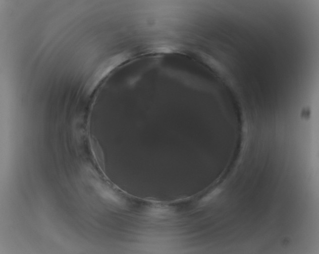 X0000114181170200910151653