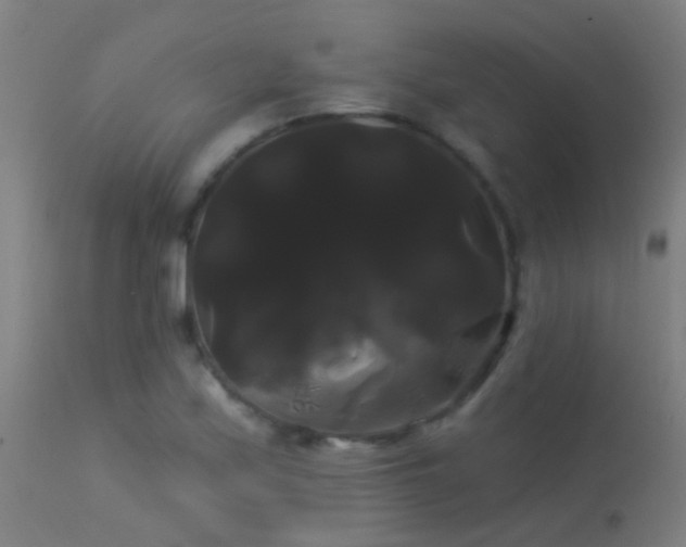 X0000114181171200910151653