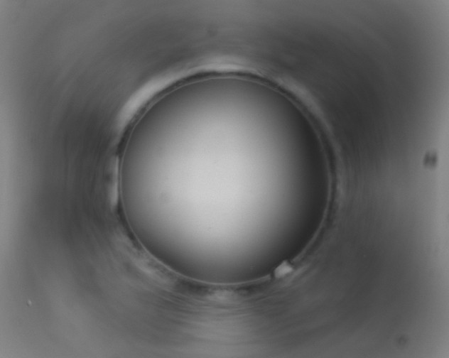 X0000114181175200910151653