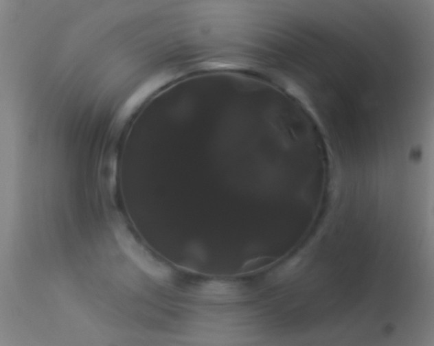 X0000114181179200910151653