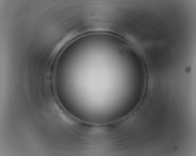 X0000114181181200910151653