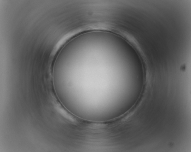 X0000114181184200910151653