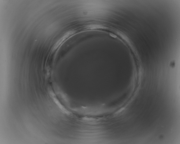 X0000114181185200910151653
