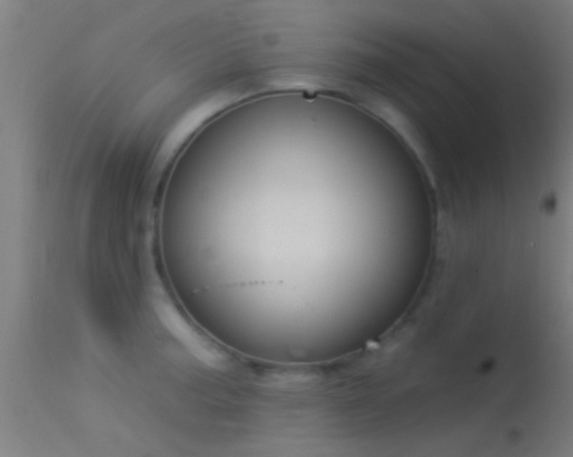 X0000114181187200910151653