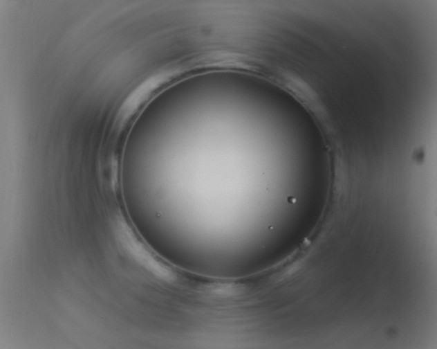 X0000114181188200910151653