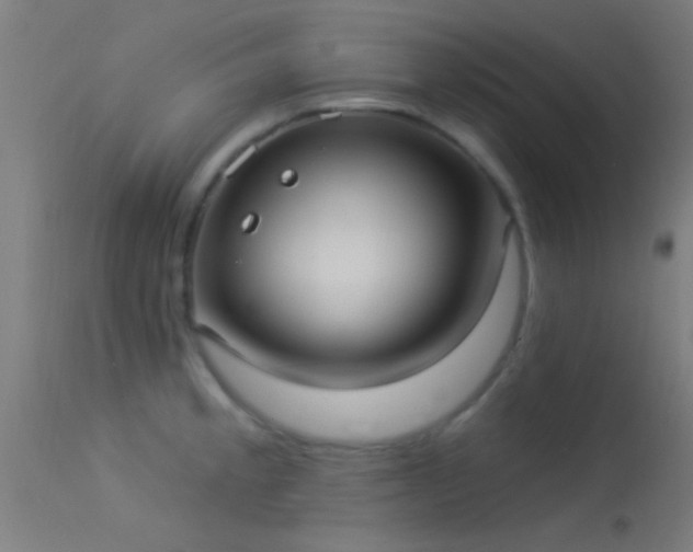 X0000114181189200910151653