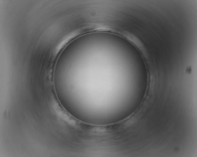 X0000114181190200910151653