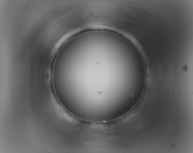 X0000114181191200910151653