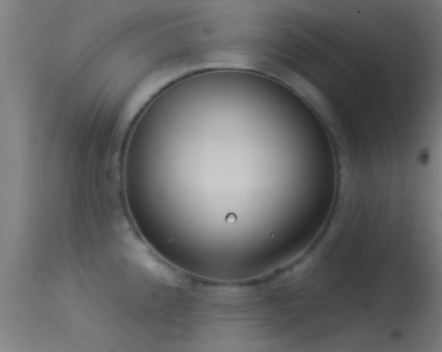 X0000114181192200910151653
