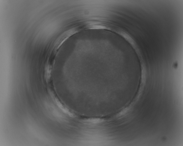 X0000114181193200910151653