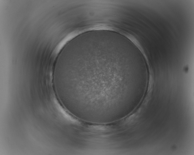 X0000114181197200910151653