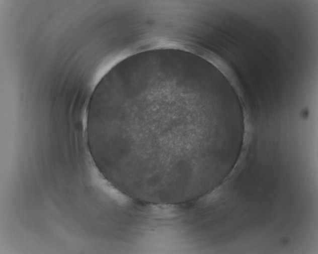 X0000114181198200910151653