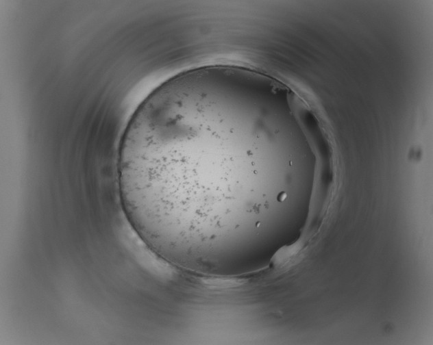 X0000114181200200910151653