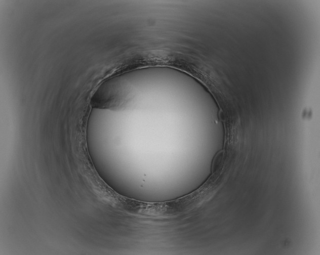 X0000114181201200910151652