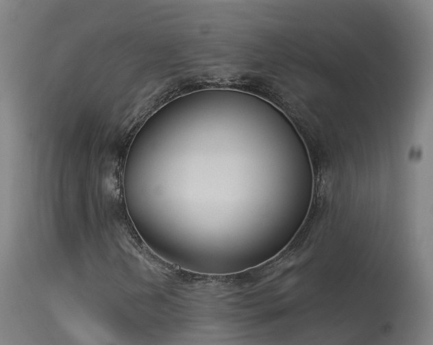 X0000114181202200910151652