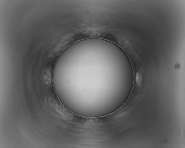 X0000114181203200910151652