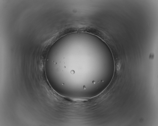 X0000114181204200910151652