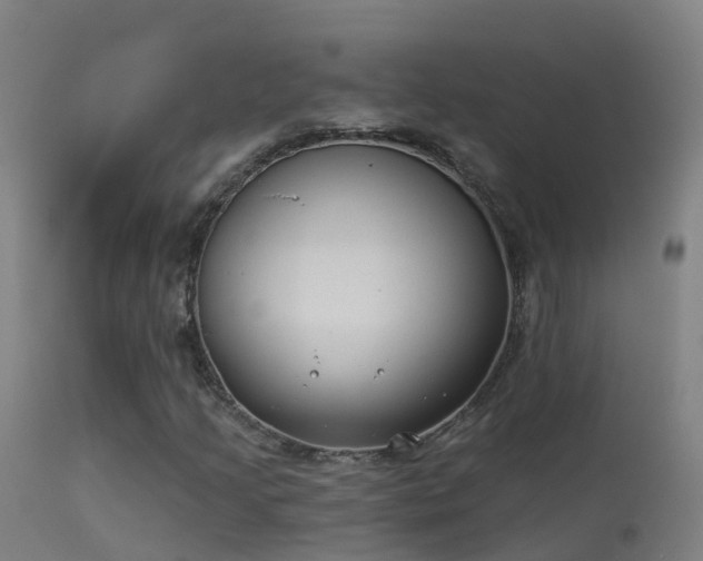 X0000114181205200910151652